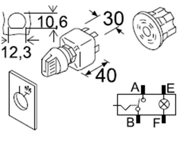 Schalter mit Lampe 12V kpl.