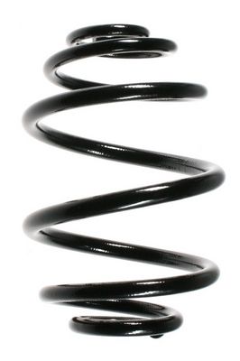 SPIDAN Fahrwerksfeder 48504