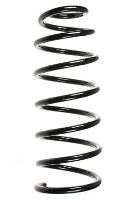 SPIDAN Fahrwerksfeder 48526