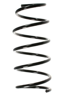 SPIDAN Fahrwerksfeder 48529