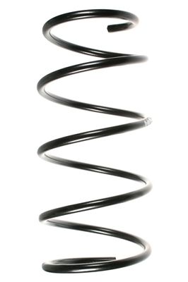 SPIDAN Fahrwerksfeder 49170