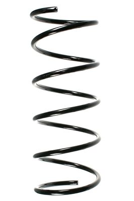SPIDAN Fahrwerksfeder 49271