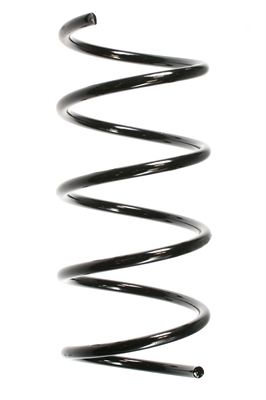 SPIDAN Fahrwerksfeder 49720