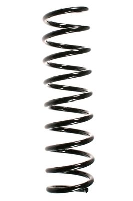SPIDAN Fahrwerksfeder 49756