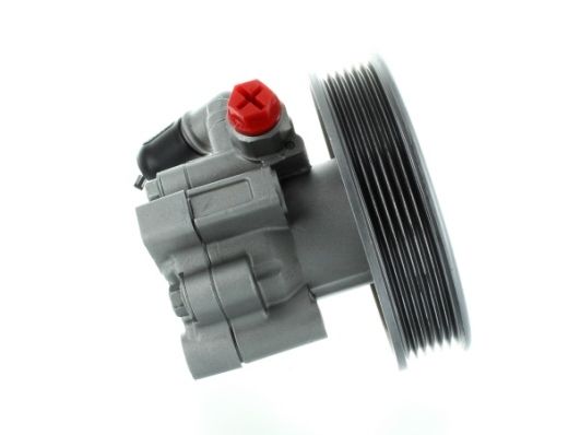 SPIDAN Hydraulikpumpe, Lenkung 52687