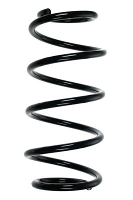 SPIDAN Fahrwerksfeder 55983