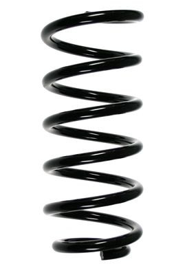 SPIDAN Fahrwerksfeder 56879