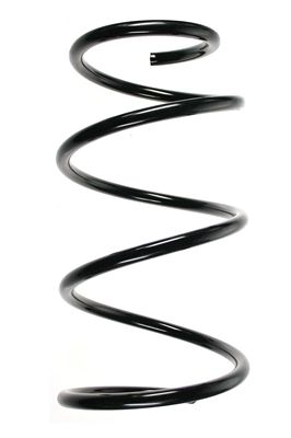 SPIDAN Fahrwerksfeder 85480
