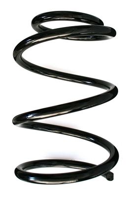 SPIDAN Fahrwerksfeder 86833