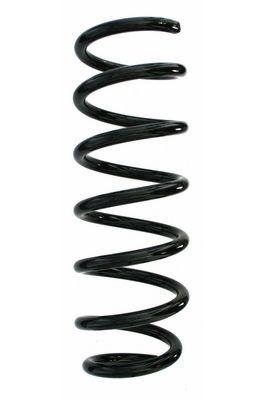 SPIDAN Fahrwerksfeder 87738