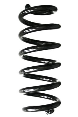 SPIDAN Fahrwerksfeder GKNW10006