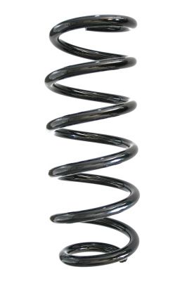 SPIDAN Fahrwerksfeder GKNW10016