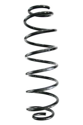 SPIDAN Fahrwerksfeder GKNW10038