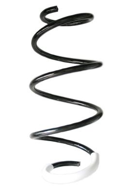 SPIDAN Fahrwerksfeder GKNW10043