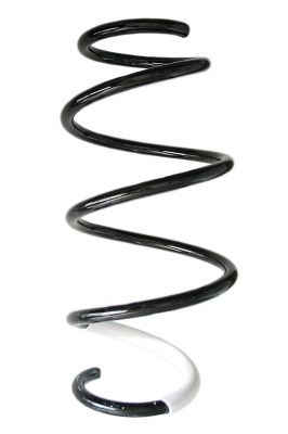 SPIDAN Fahrwerksfeder GKNW10048