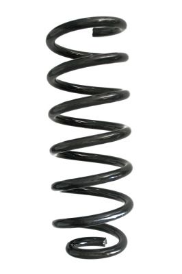 SPIDAN Fahrwerksfeder GKNW10050