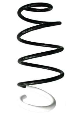 SPIDAN Fahrwerksfeder GKNW10054