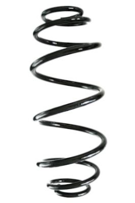 SPIDAN Fahrwerksfeder GKNW10166