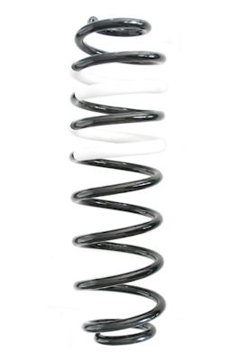 SPIDAN Fahrwerksfeder GKNW10263