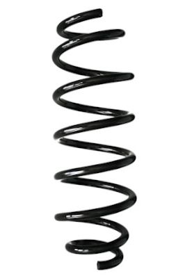 SPIDAN Fahrwerksfeder GKNW10273