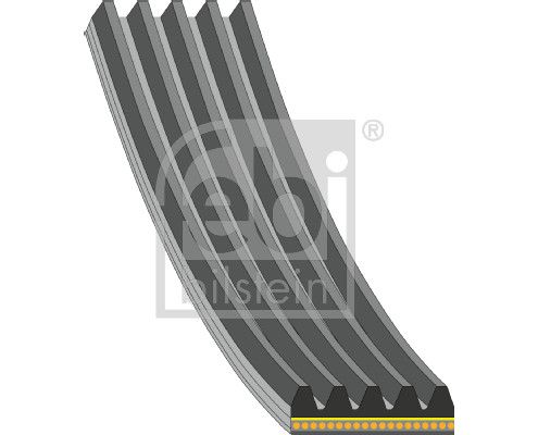 FEBI BILSTEIN Keilrippenriemen 181286