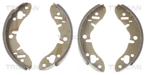 TRISCAN Bremsbackensatz 8100 17003