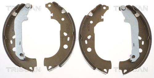 TRISCAN Bremsbackensatz, Feststellbremse 8100 18014