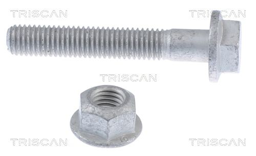 TRISCAN Reparatursatz, Radaufhängung 8500 29411