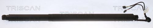 TRISCAN Gasfeder, Koffer-/Laderaum 8710 29314