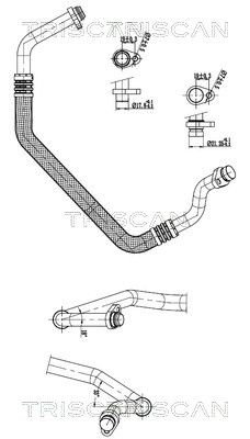 TRISCAN Hochdruck-/Niederdruckleitung, Klimaanlage 9010 25031