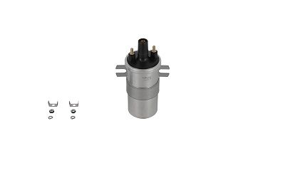 BorgWarner (BERU) Zündspule ZS564