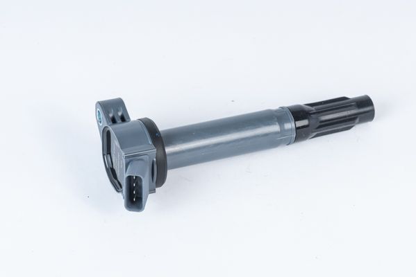 BorgWarner (BERU) Zündspule ZSE202