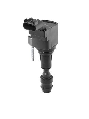 BorgWarner (BERU) Zündspule ZSE212