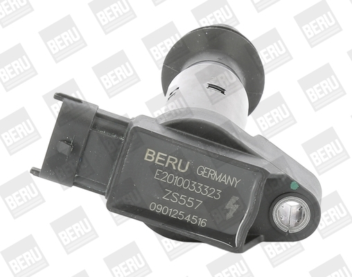 BorgWarner (BERU) Zündspule ZS557
