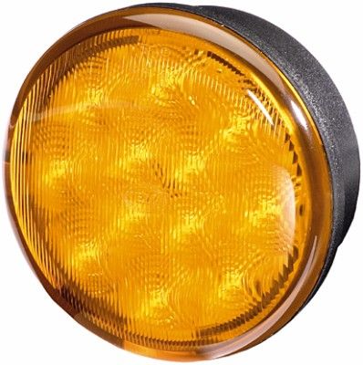 HELLA Blinkleuchte 2BA 959 011-301