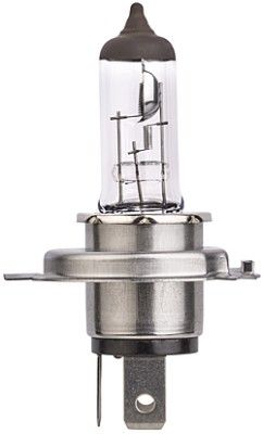 HELLA Glühlampe, Hauptscheinwerfer 8GJ 007 255-123