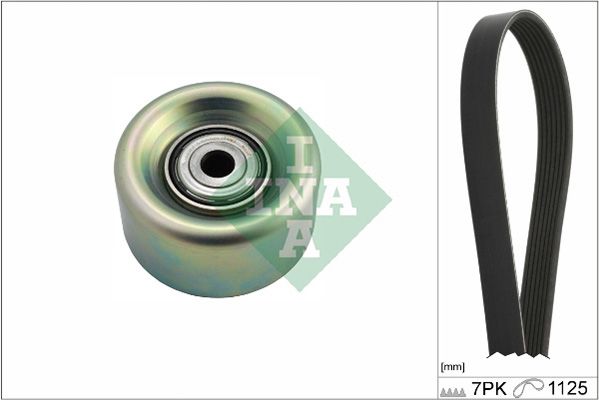 Schaeffler INA Keilrippenriemensatz 529 0231 10