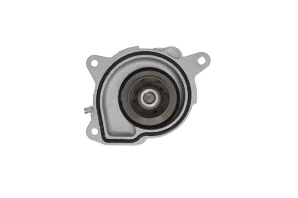 VALEO Wasserpumpe, Motorkühlung 529529