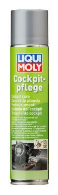 LIQUI MOLY Kunststoffpflegemittel 1598