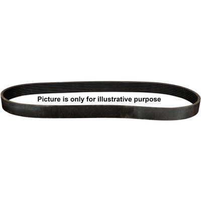 JP GROUP Keilrippenriemen 1618100300