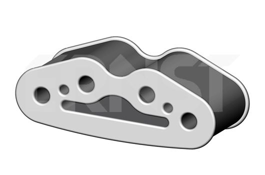 ERNST Halter, Abgasanlage 493628