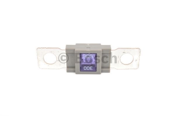 BOSCH Sicherung 1 987 531 007