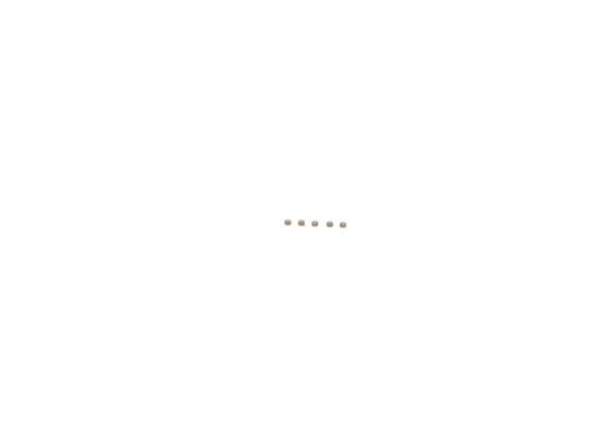BOSCH Reparatursatz, Common-Rail-System F 00Z C99 746