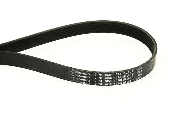 CONTINENTAL CTAM Keilrippenriemen 7PK1038 ELAST