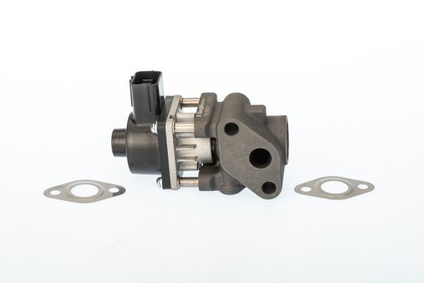 BorgWarner AGR-Ventil 711024D