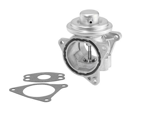 BorgWarner AGR-Ventil 7496D
