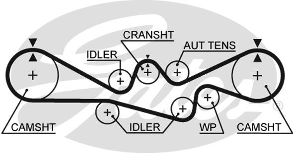 GATES Zahnriemen 5537XS