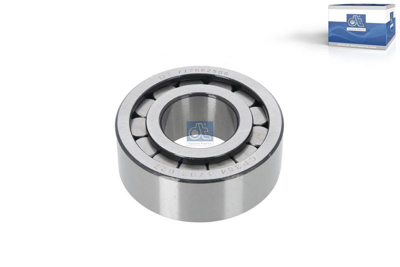 DT Spare Parts Lagersatz, Differential 10.26027