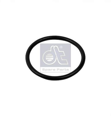 DT Spare Parts Dichtung, Thermostat 11.22015