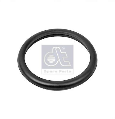 DT Spare Parts Dichtung, Thermostat 13.42091